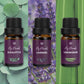 Ätherische Öle Geschenkset - Lavendel, Eukalyptus, Vanille, Lemongrass, Sandelholz, Pfefferminz - 6 x 10ml